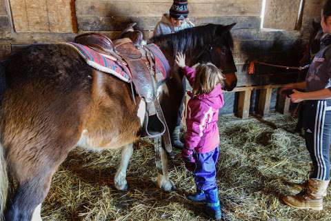 Wagonwheel Ranch